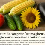 5 verdure da comprare l’ultimo giorno di luglio: sono al massimo e costano meno
