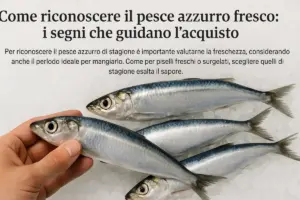 Come riconoscere il pesce azzurro fresco: i segni che guidano l’acquisto
