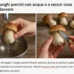 Pulire i funghi porcini con acqua o a secco: cosa cambia davvero