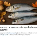 Specie di pesce azzurro meno note: quelle che rendono meglio in autunno