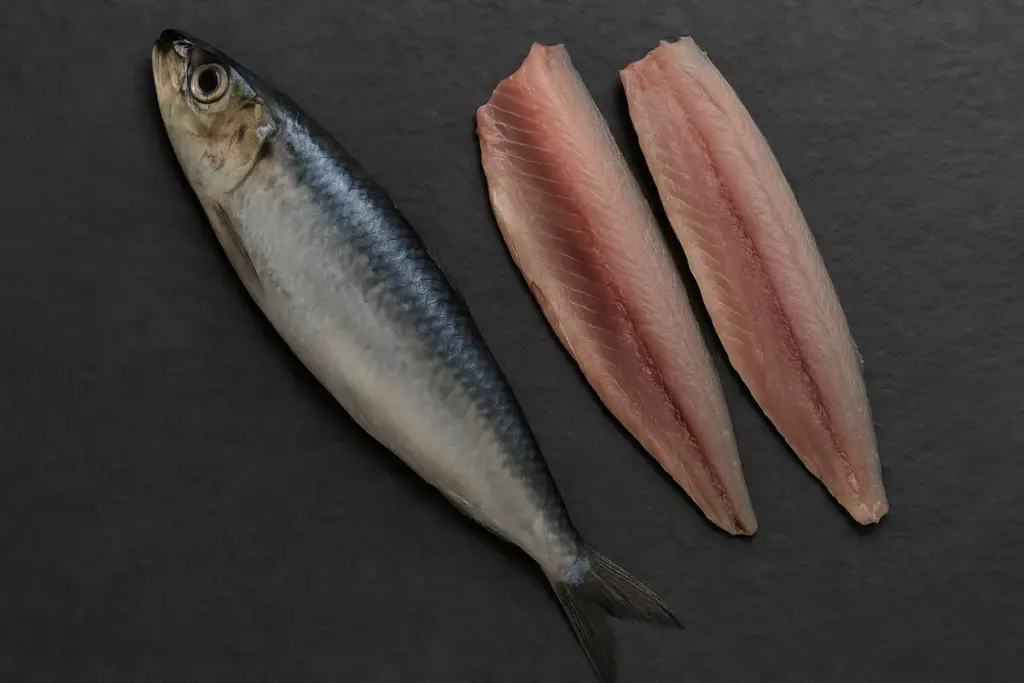 Pesce azzurro intero o a filetti: la forma che cambia cottura e sapore