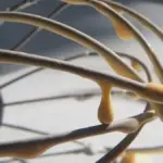 Crema pasticcera troppo liquida: come addensarla senza formare grumi