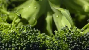 Broccoli freschi: come scegliere quelli con cimette compatte