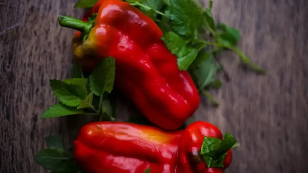 Peperoni rossi e gialli: quali scegliere per un’insalata cruda
