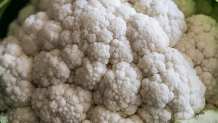 Come evitare che il cavolfiore annerisca dopo la pulizia