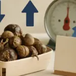 Castagne bollite difficili da sbucciare: quando togliere buccia e pellicina