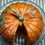 Zucca Delica: come riconoscerla e usarla nelle preparazioni salate