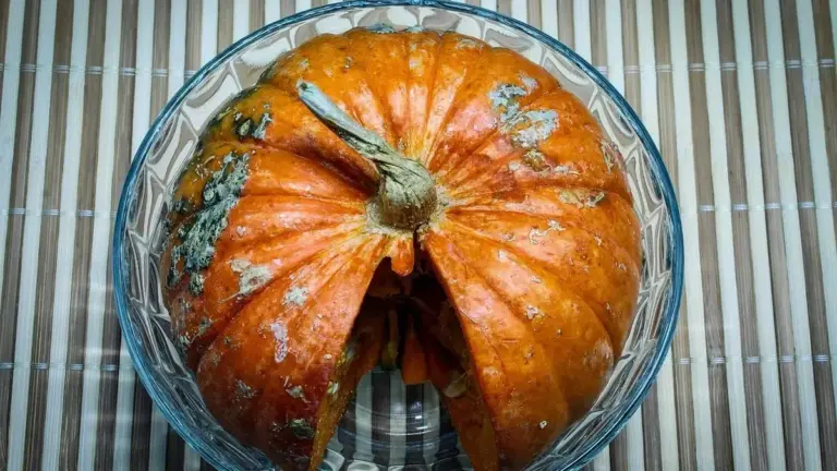 Zucca Delica: come riconoscerla e usarla nelle preparazioni salate