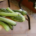 Zucchine con il fiore: come pulire e usare entrambi in cucina