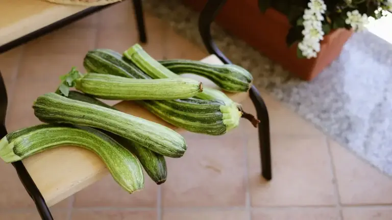 Zucchine con il fiore: come pulire e usare entrambi in cucina