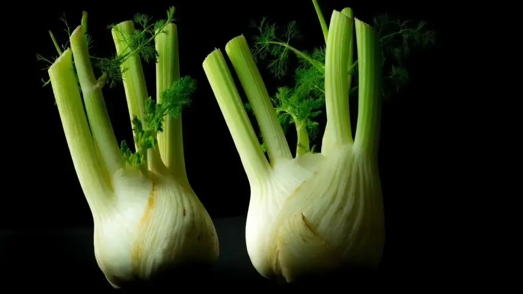 Finocchi freschi: come riconoscere quelli più teneri per l’insalata