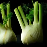 Finocchi freschi: come riconoscere quelli più teneri per l’insalata