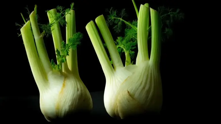 Finocchi freschi: come riconoscere quelli più teneri per l’insalata