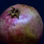 Melagrana: come estrarre i chicchi senza schiacciarli
